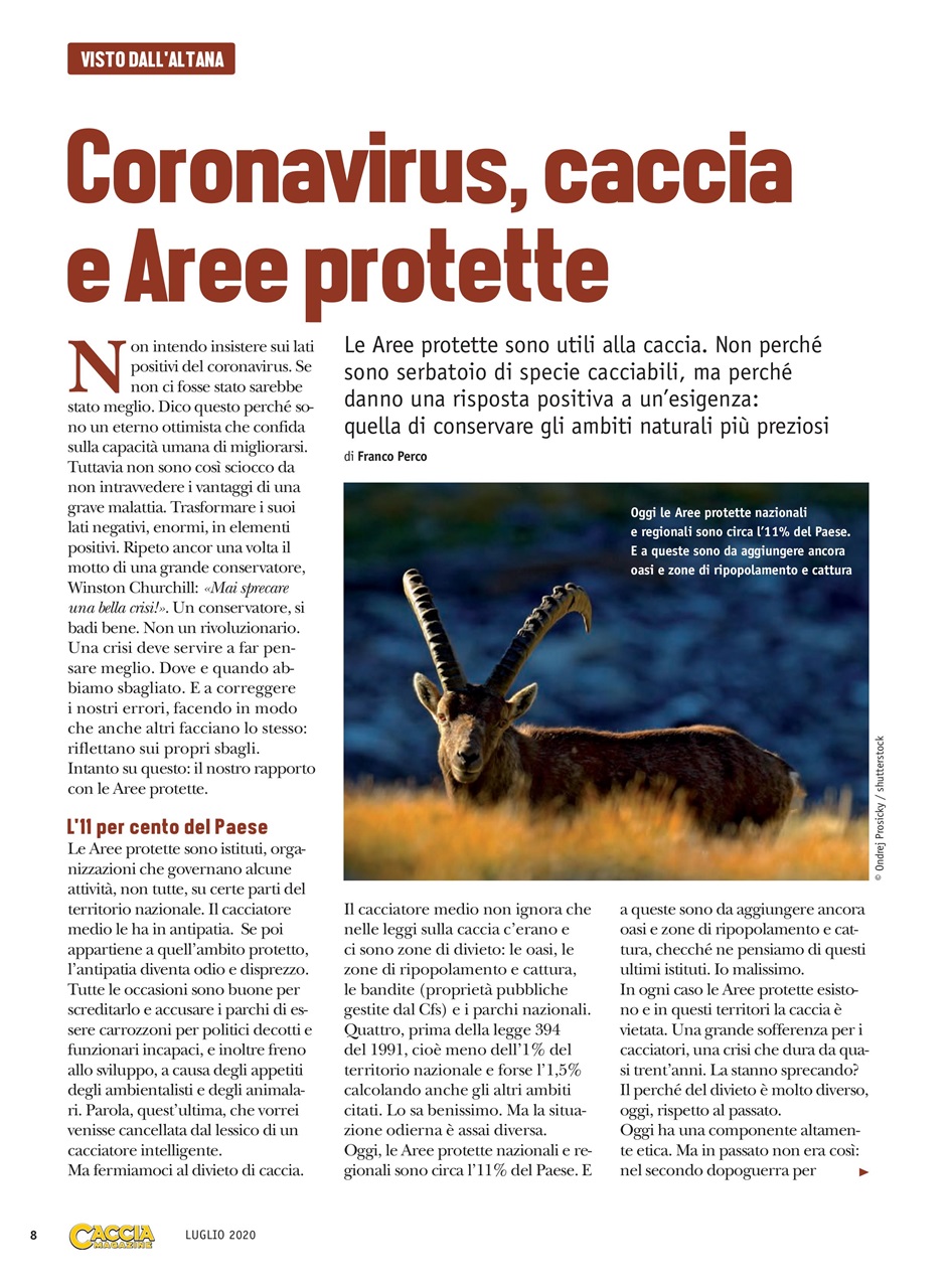 Caccia Magazine Preview Pages