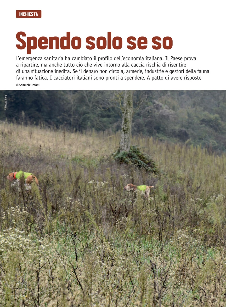 Caccia Magazine Preview Pages