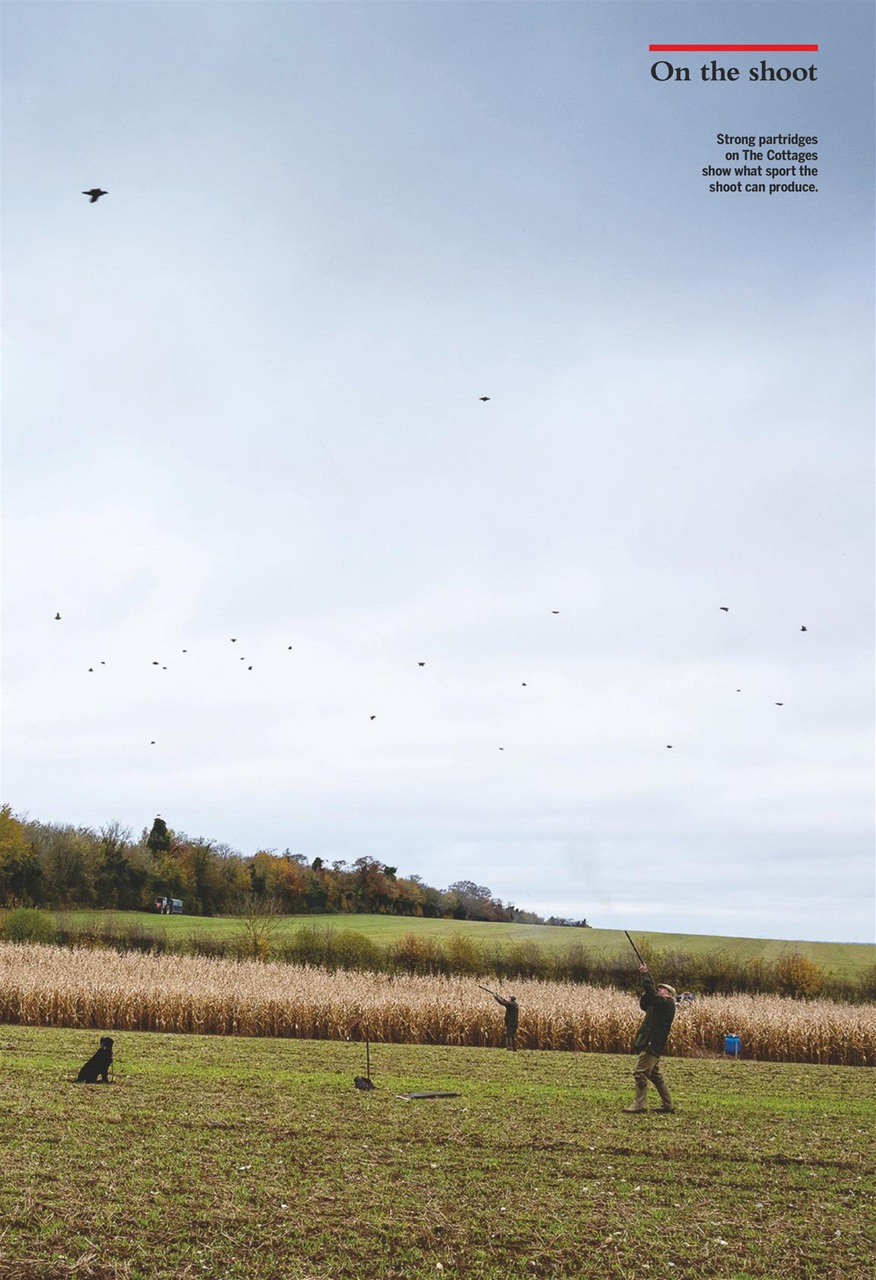 Shooting Gazette Preview Pages