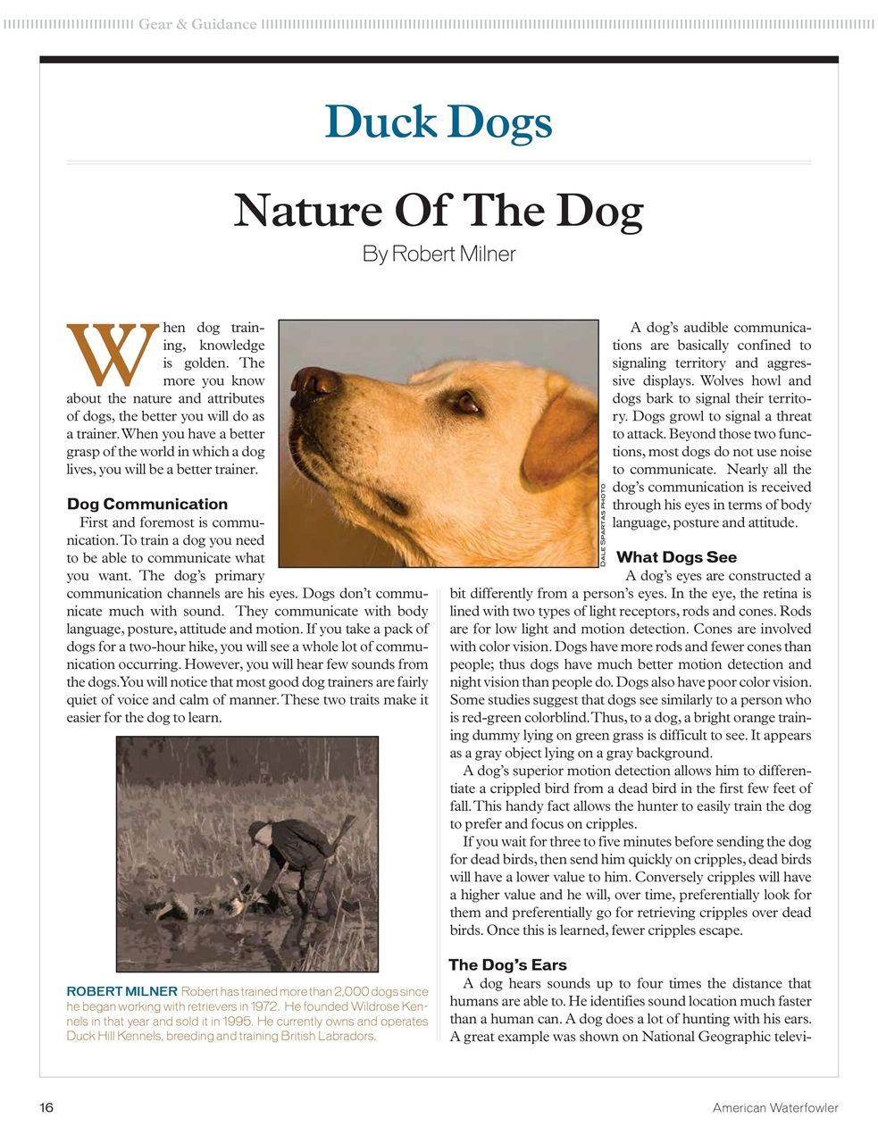 American Waterfowler Preview Pages