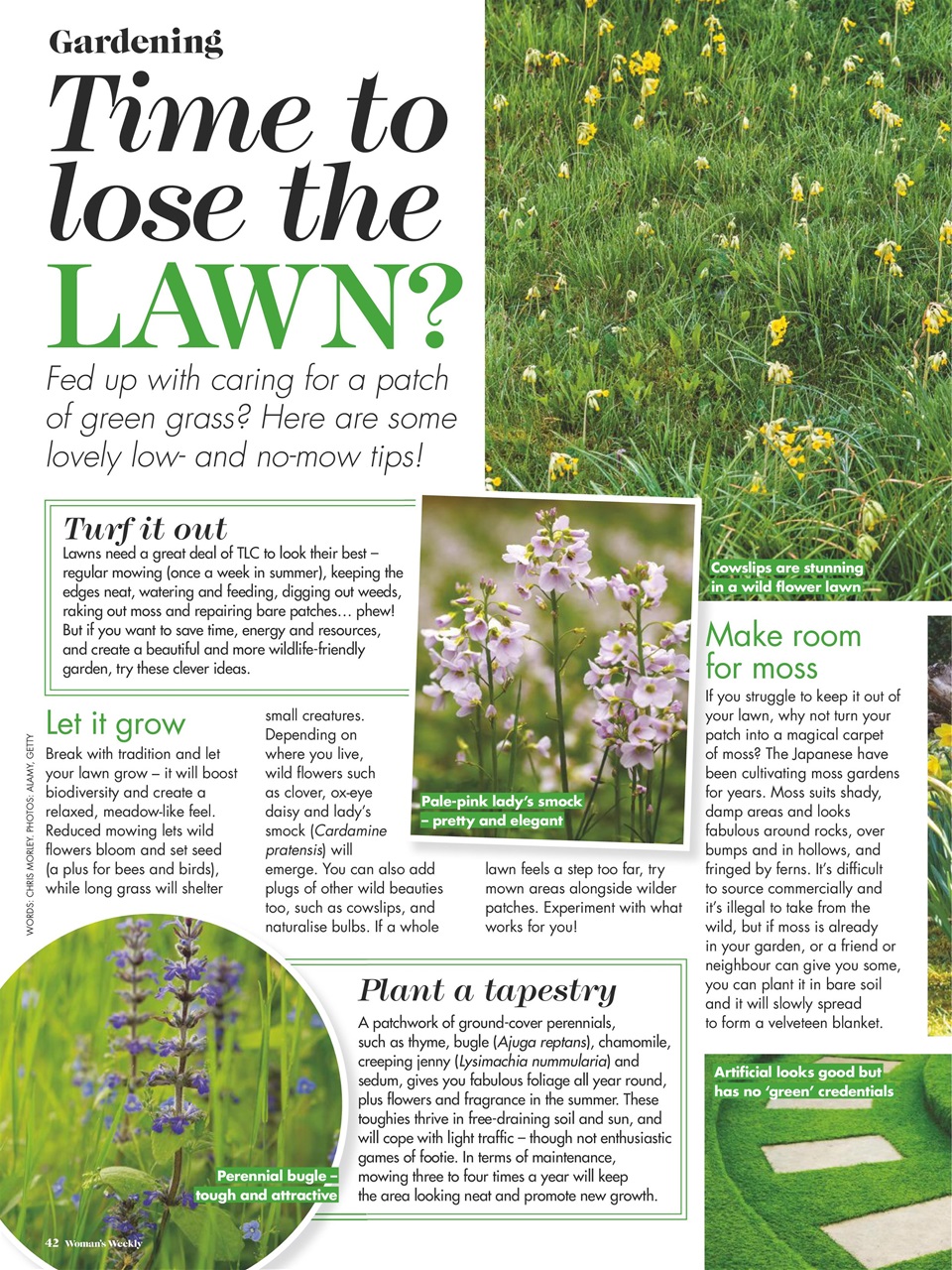 Woman's Weekly Preview Pages