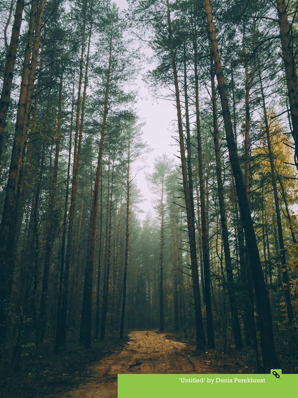 Mobiography Preview Pages