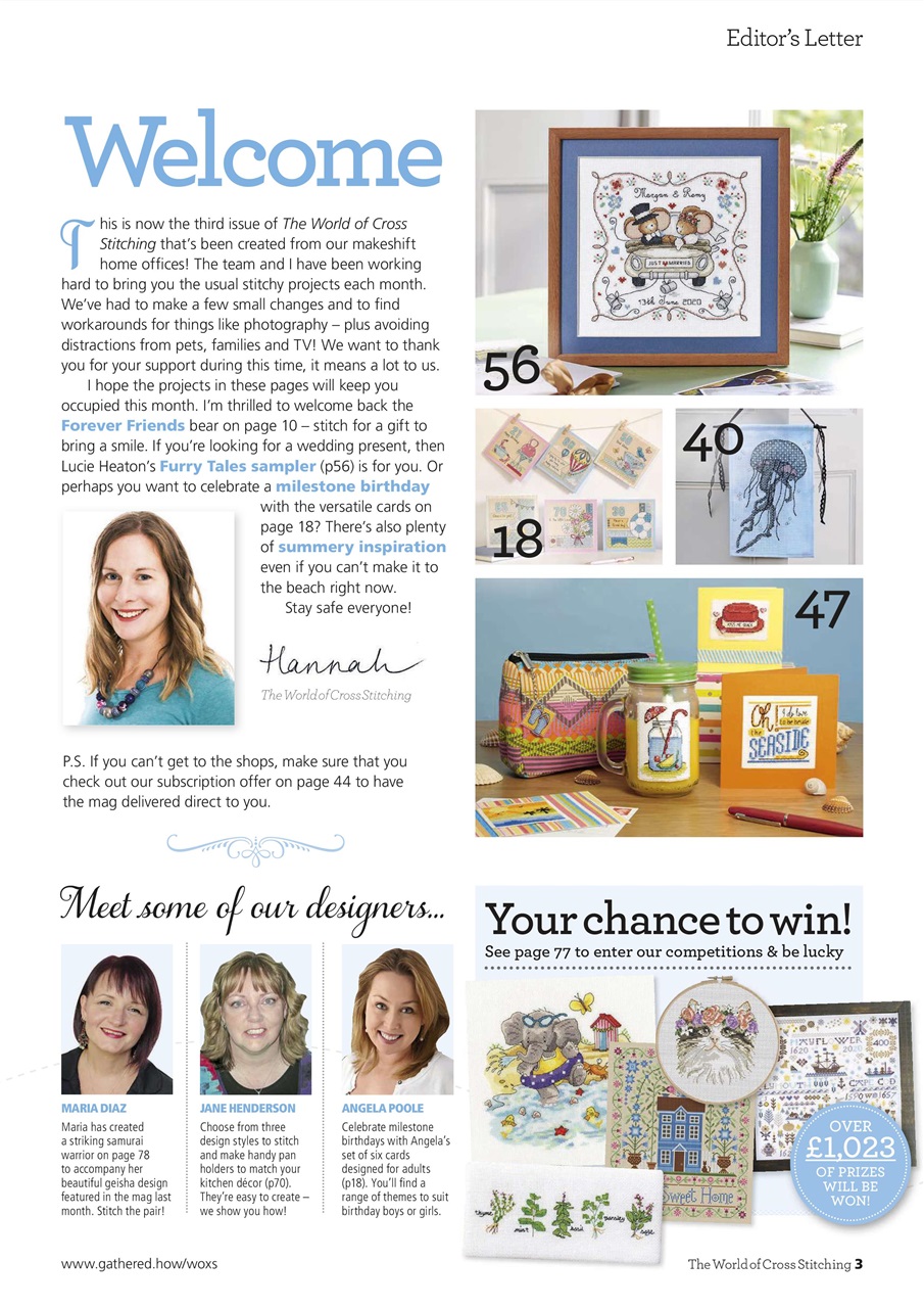 The World of Cross Stitching Preview Pages