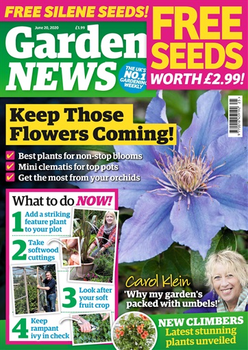 Garden News issue 