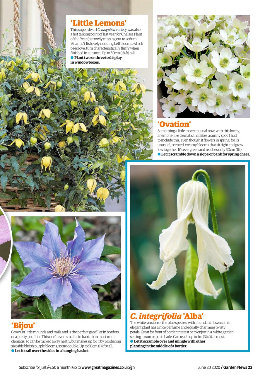 Garden News Preview Pages