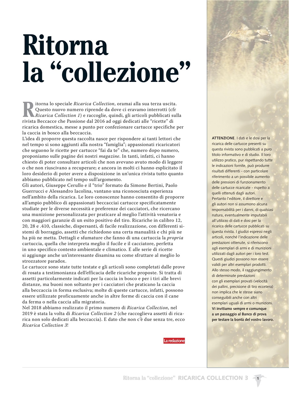 BECCACCE CHE PASSIONE Preview Pages