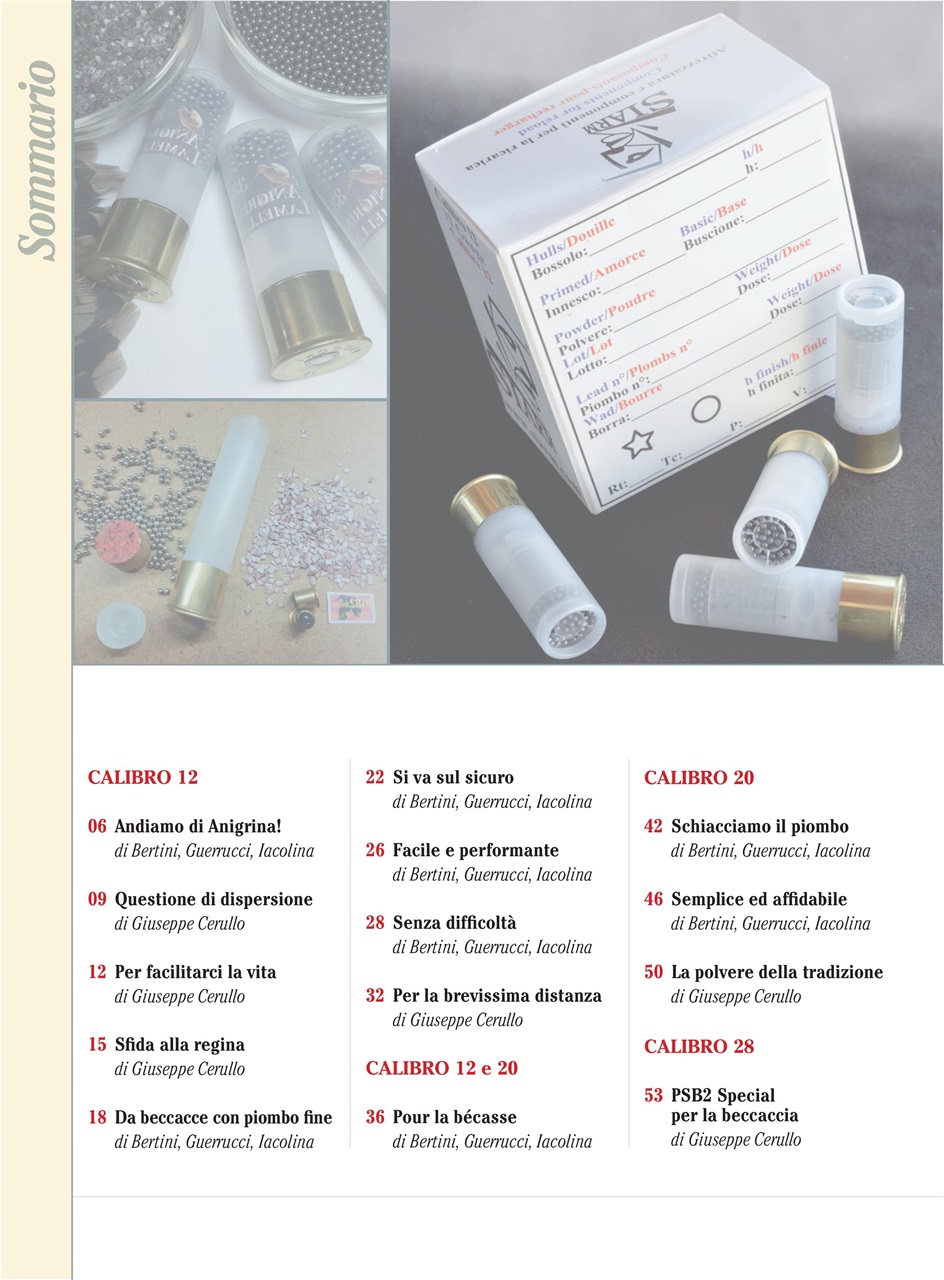 BECCACCE CHE PASSIONE Preview Pages