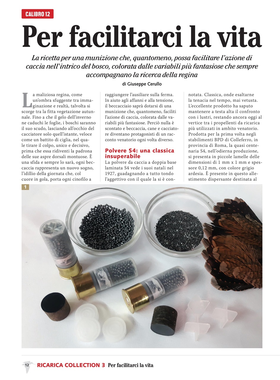 BECCACCE CHE PASSIONE Preview Pages