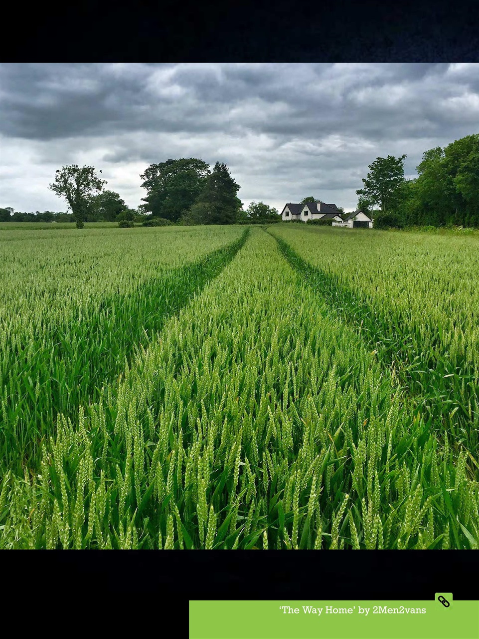 Mobiography Preview Pages