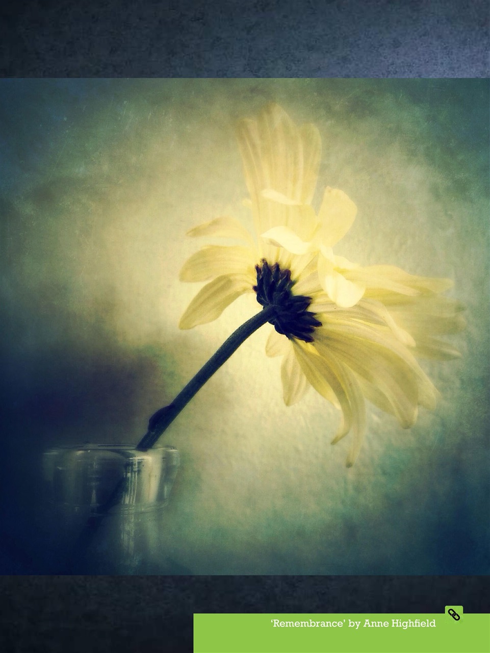 Mobiography Preview Pages