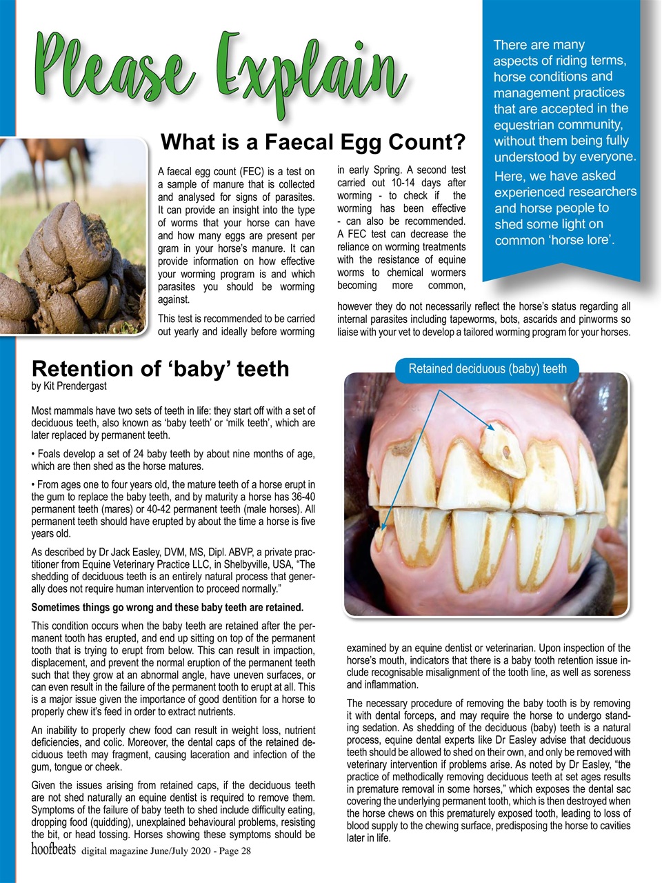 Hoofbeats Preview Pages