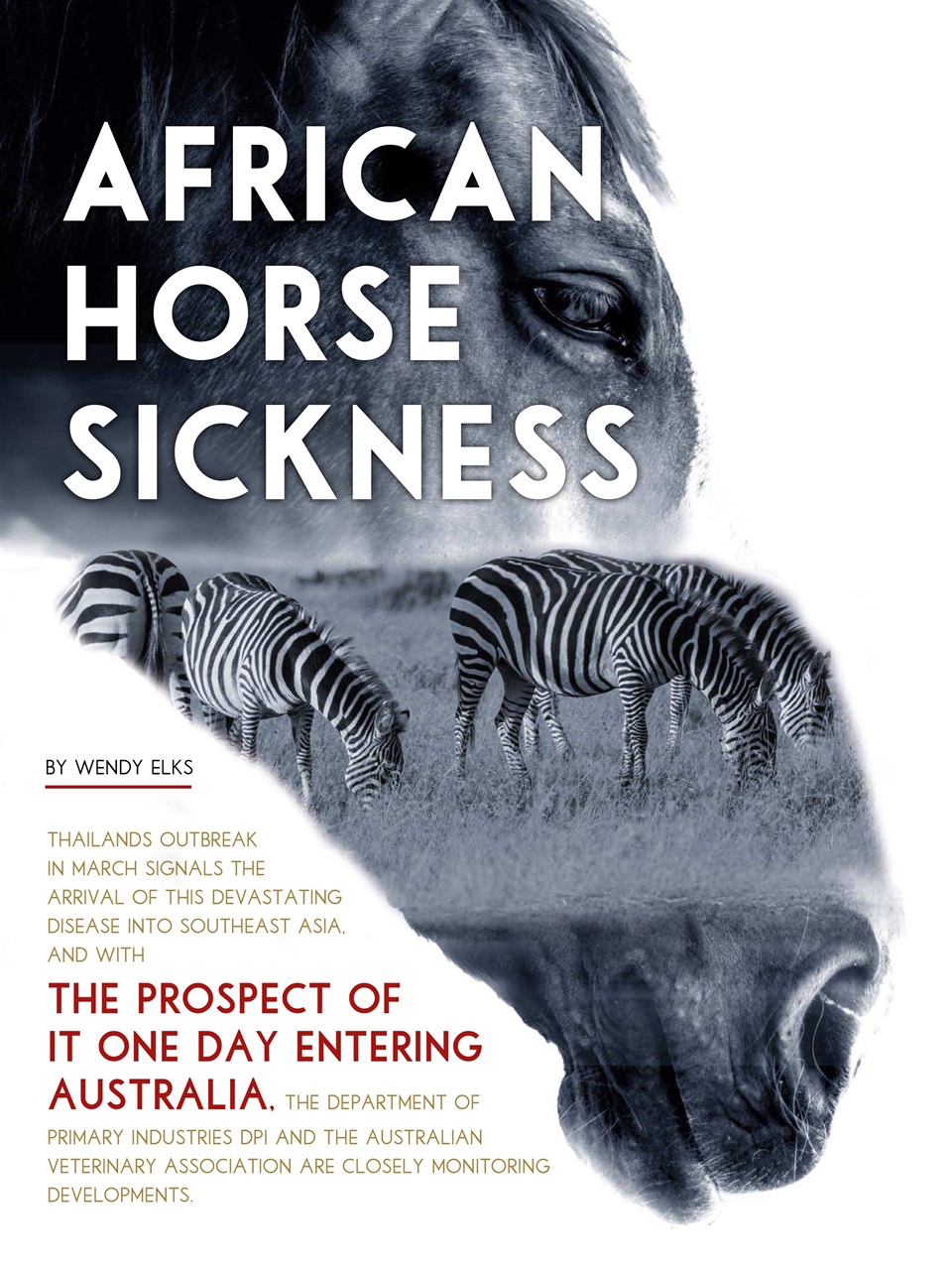 Hoofbeats Preview Pages