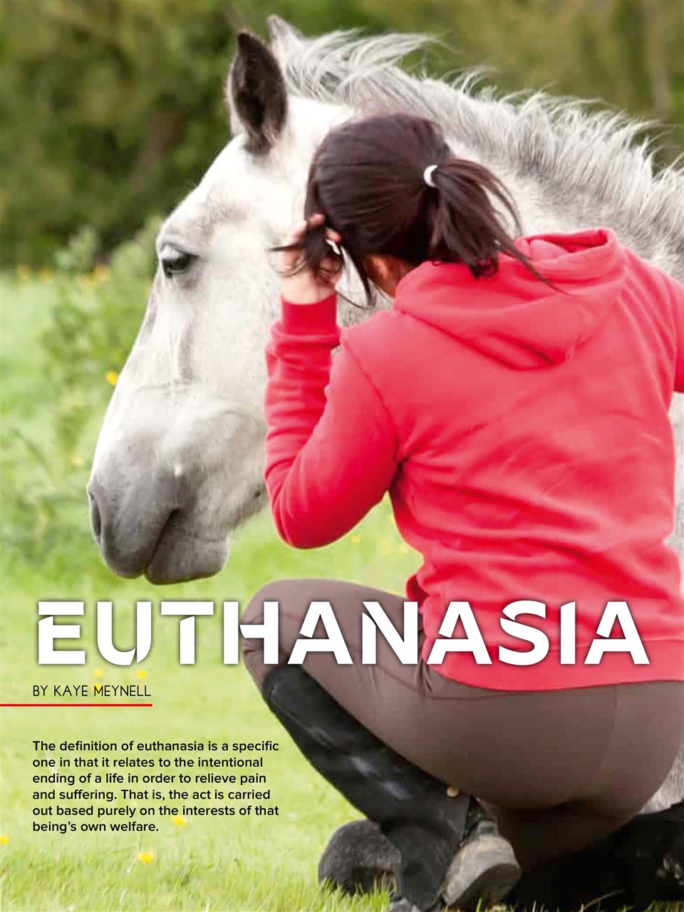 Hoofbeats Preview Pages