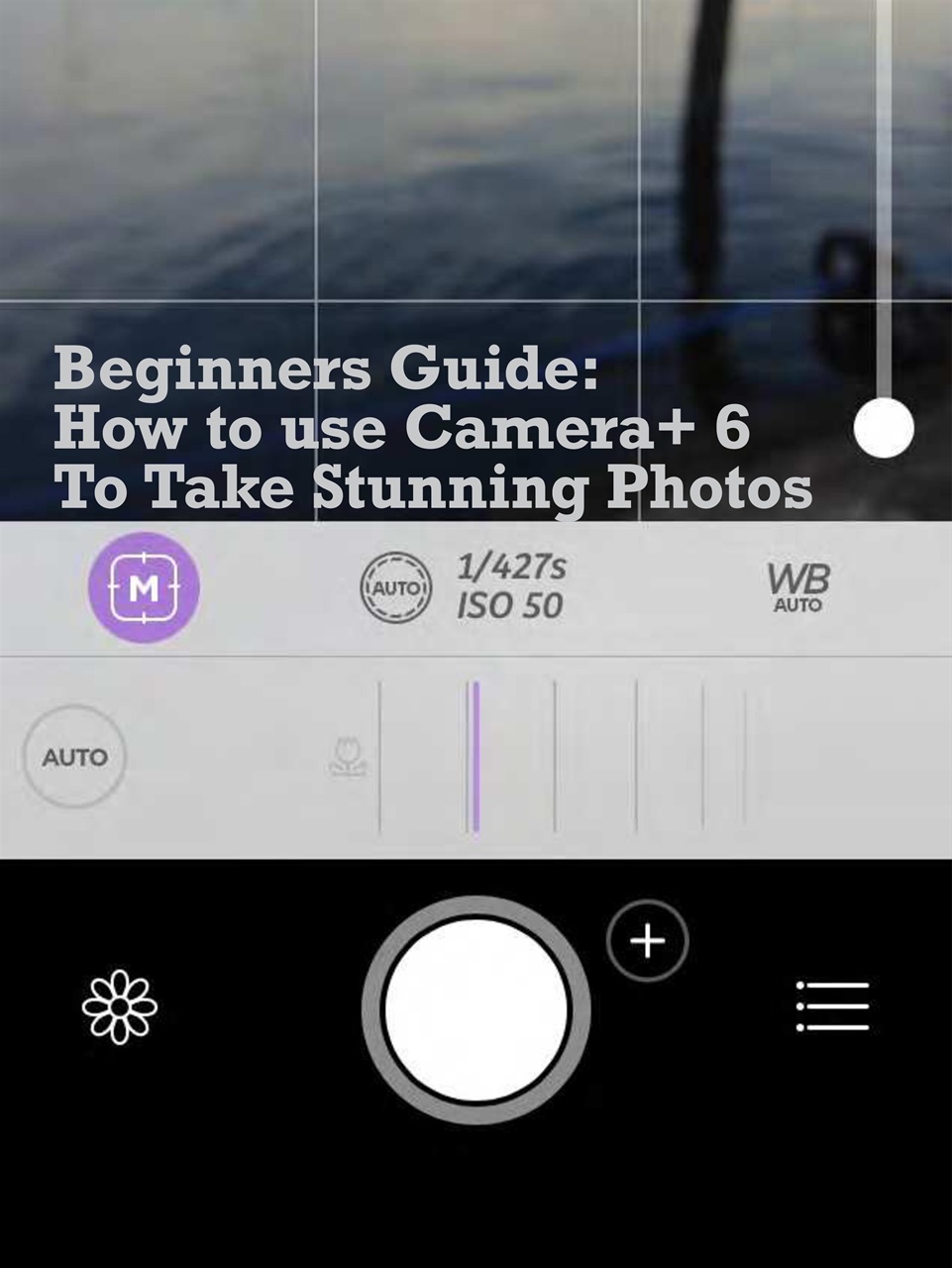Mobiography Preview Pages
