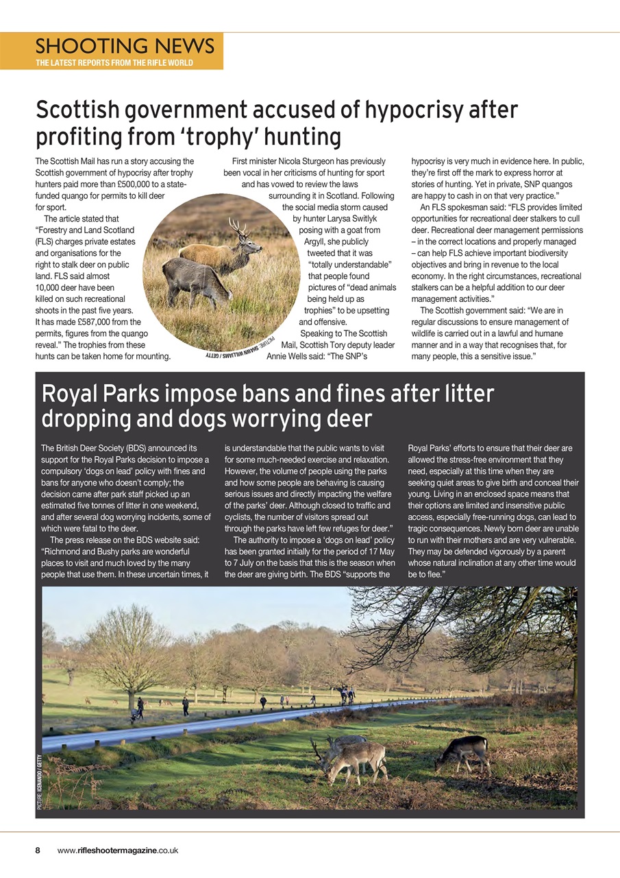 Rifle Shooter Preview Pages