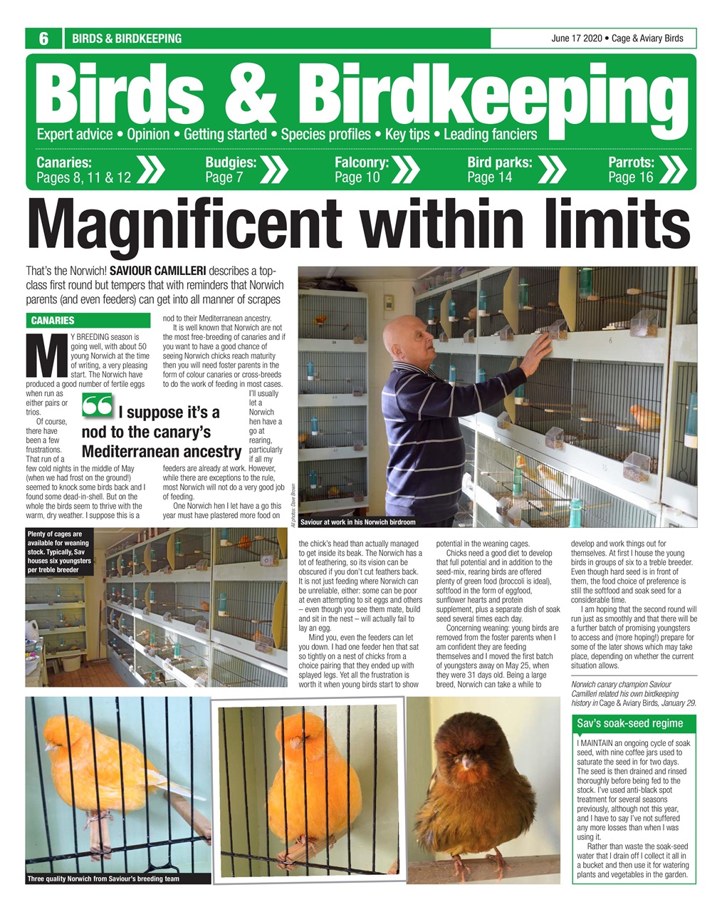Cage & Aviary Birds Preview Pages