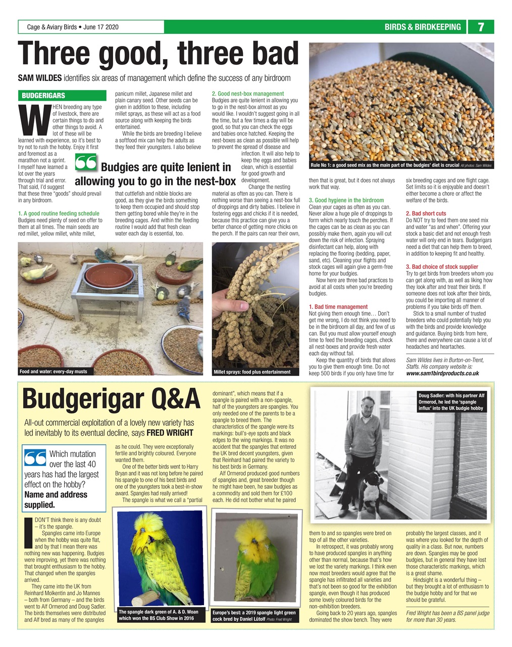 Cage & Aviary Birds Preview Pages