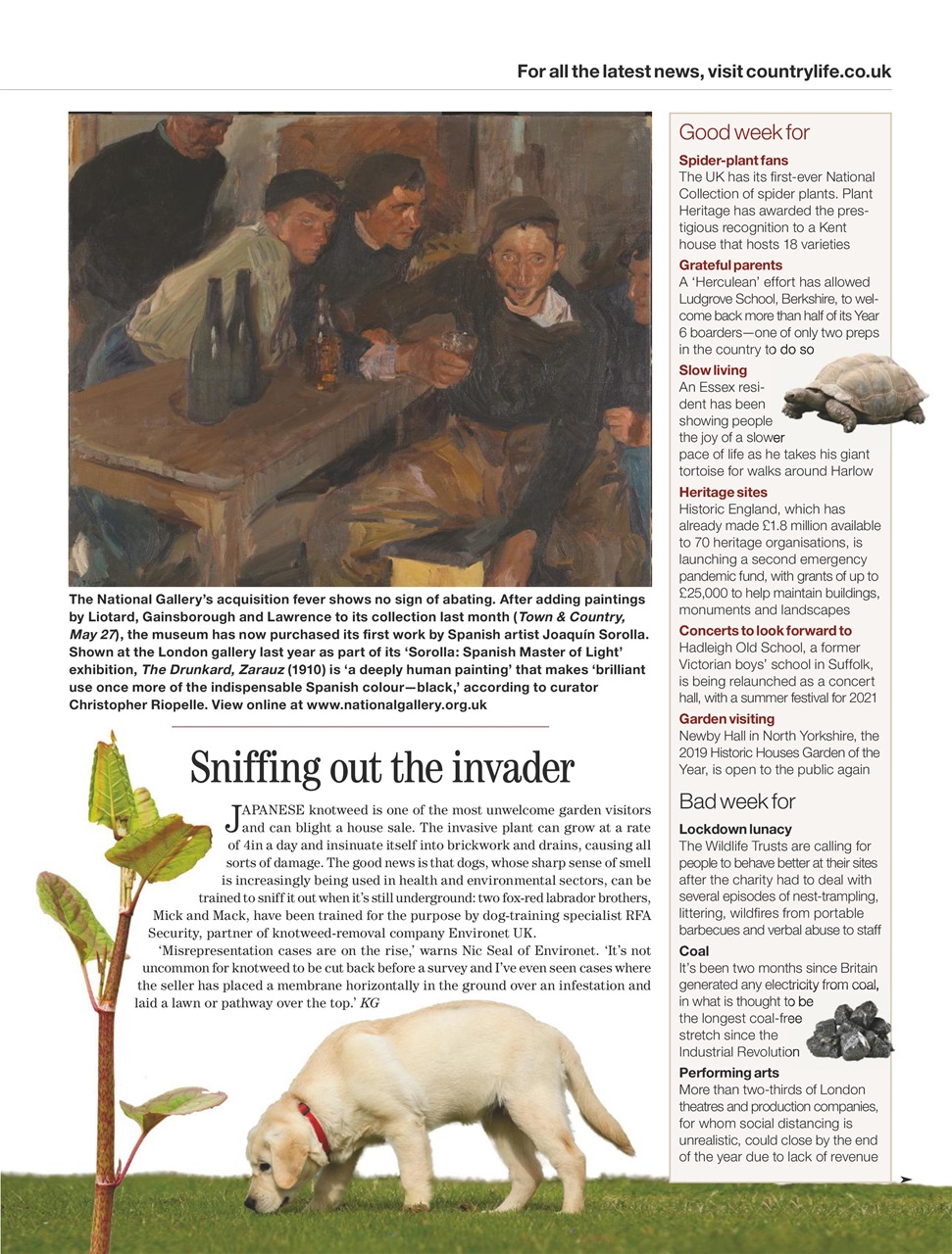 Country Life Preview Pages
