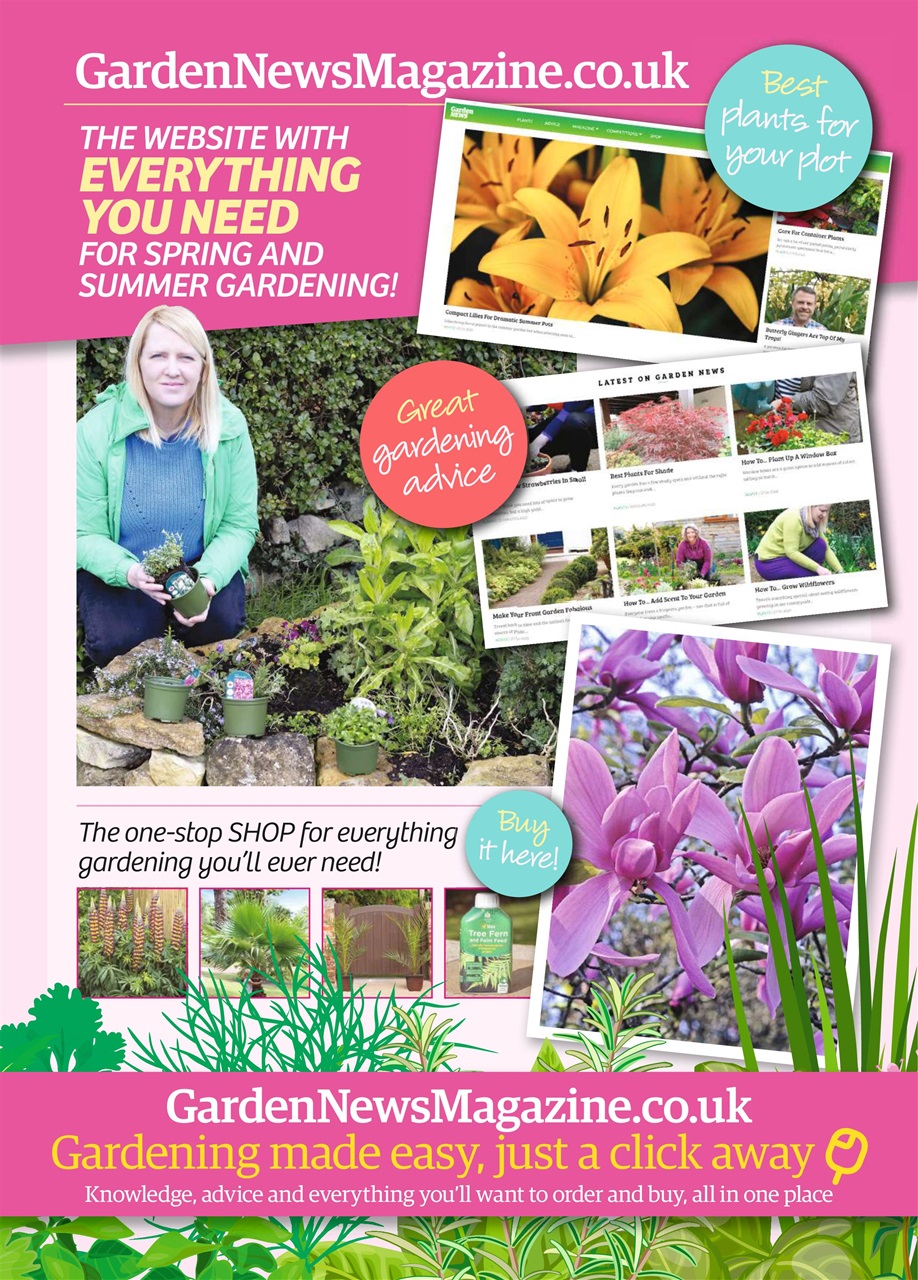 Closer Preview Pages