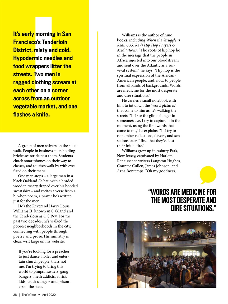 The Writer Preview Pages
