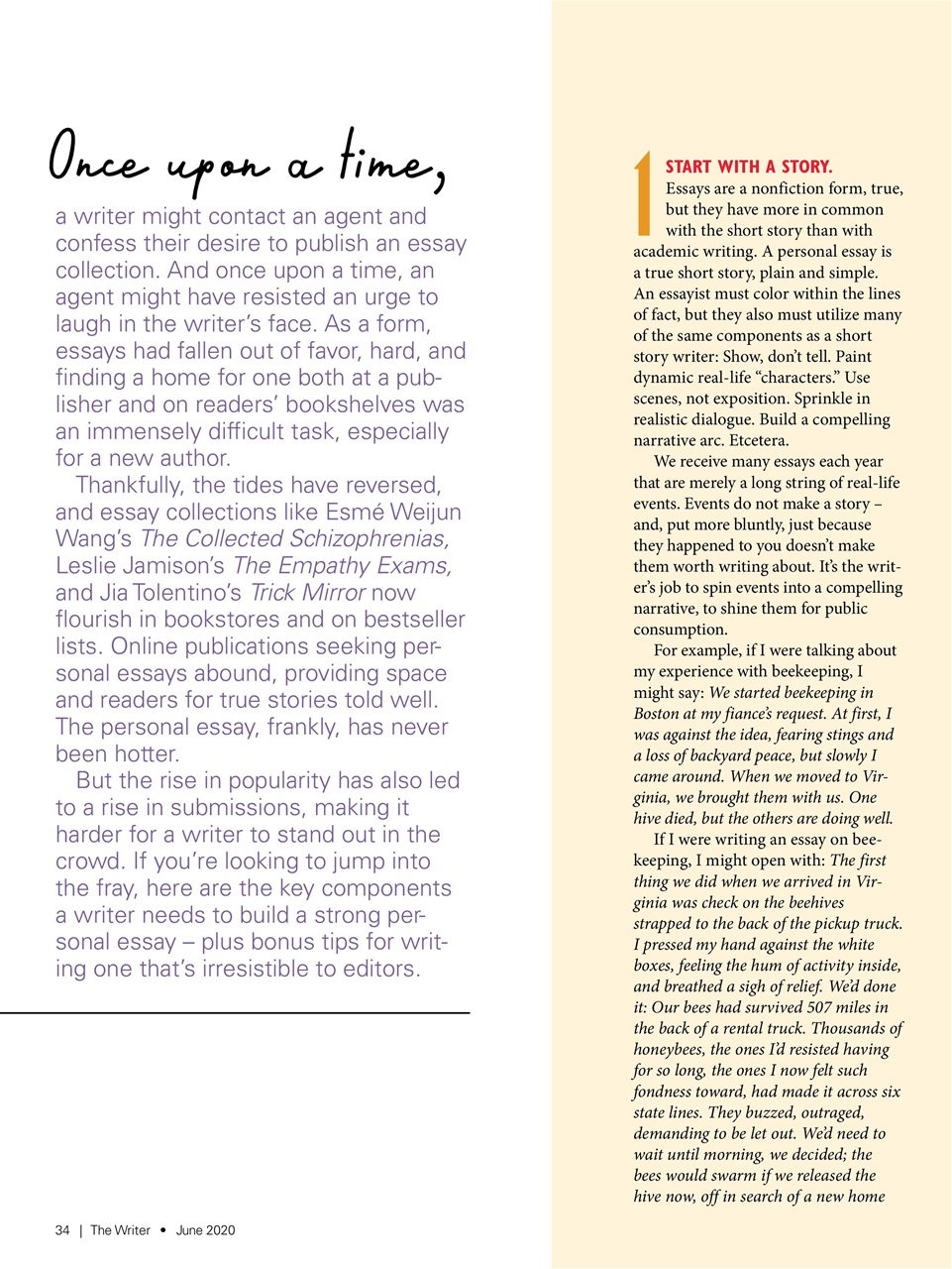 The Writer Preview Pages