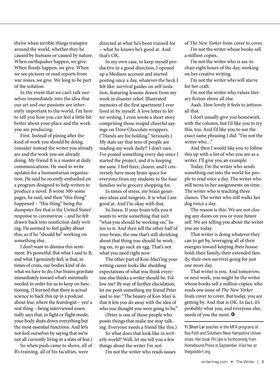 The Writer Preview Pages