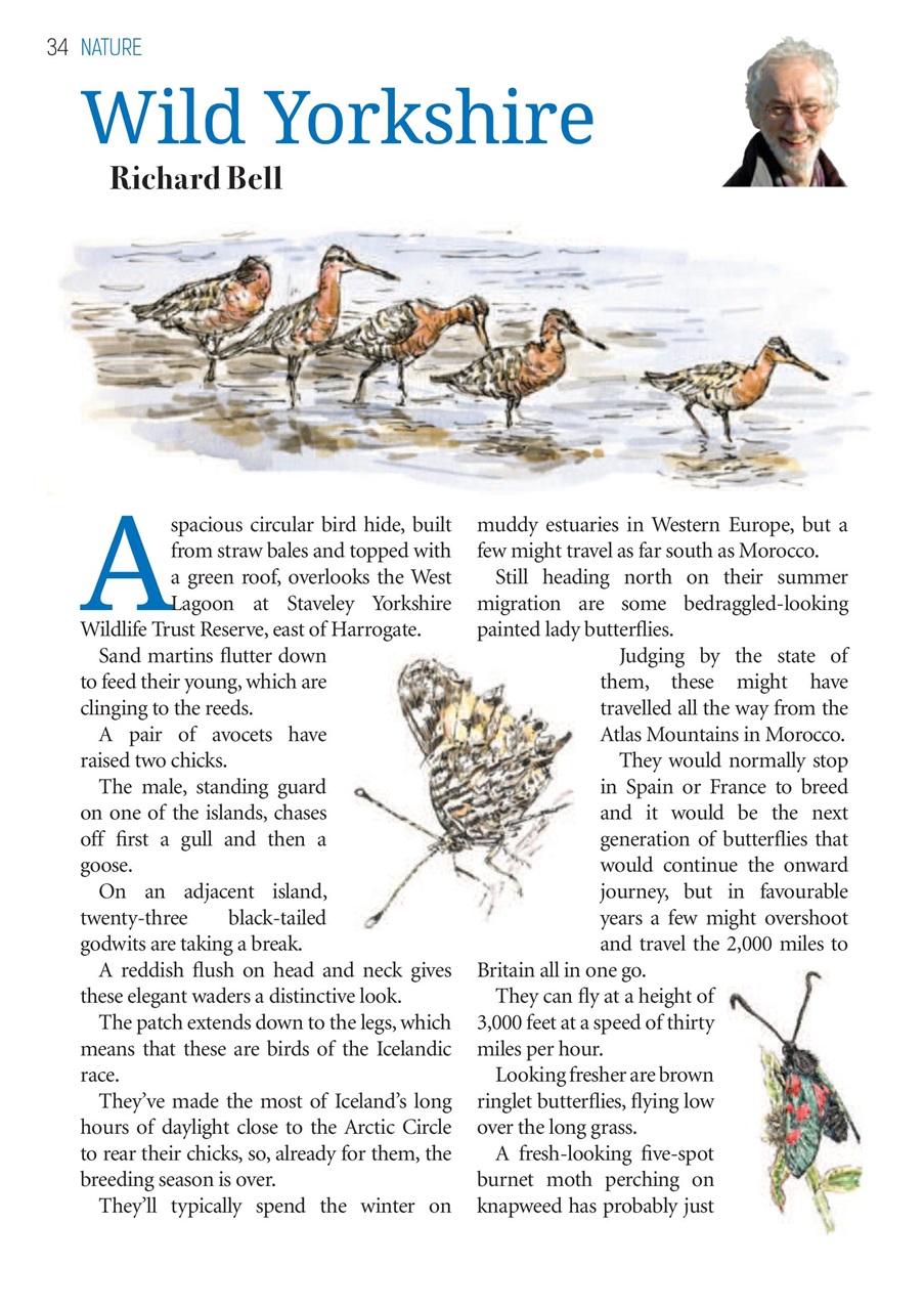 The Yorkshire Dalesman Preview Pages