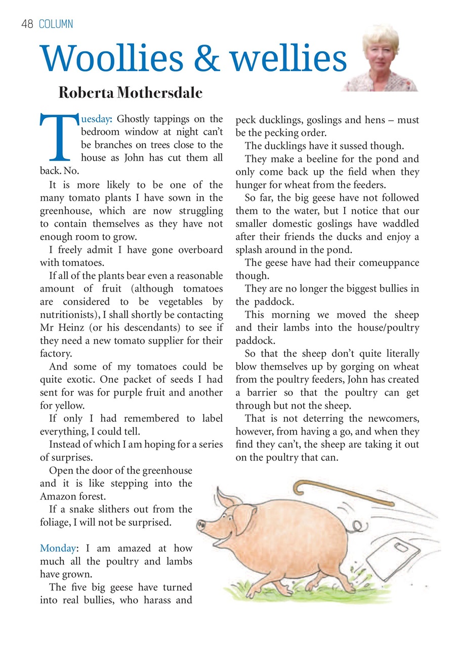The Yorkshire Dalesman Preview Pages