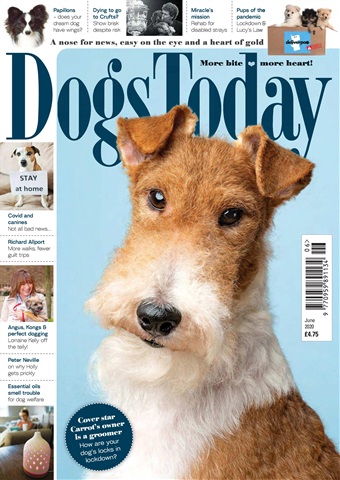Dogs Today Magazine issue June 2020