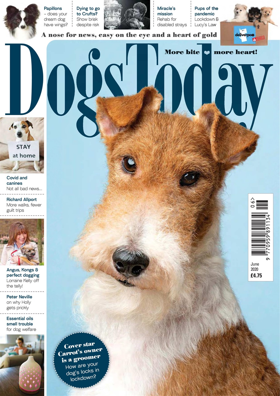 Dogs Today Magazine Preview Pages