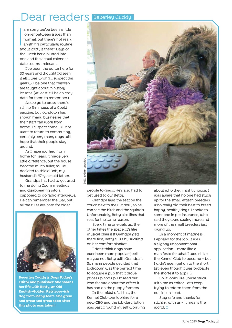 Dogs Today Magazine Preview Pages