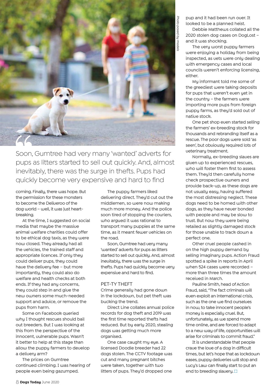 Dogs Today Magazine Preview Pages