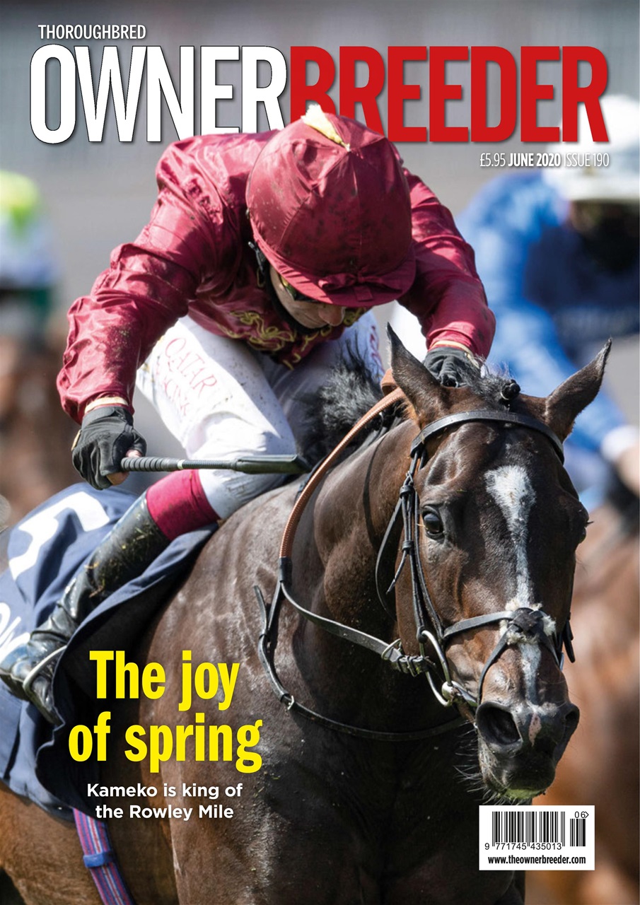 The Owner Breeder Preview Pages
