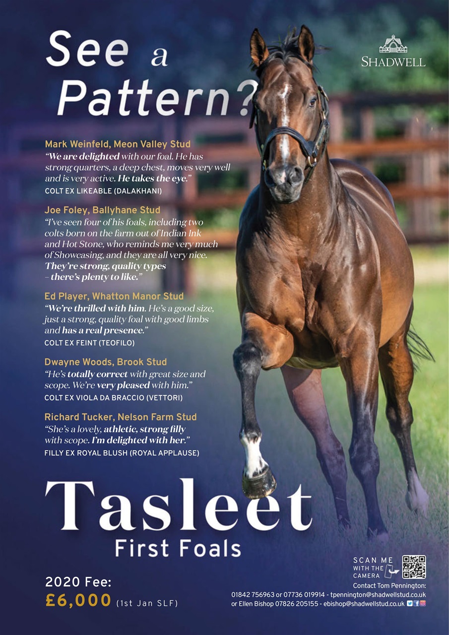 The Owner Breeder Preview Pages