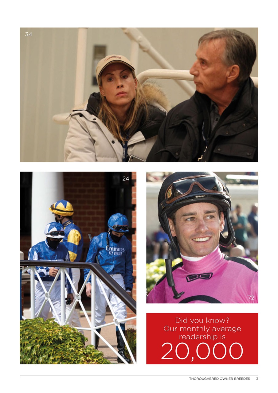 The Owner Breeder Preview Pages