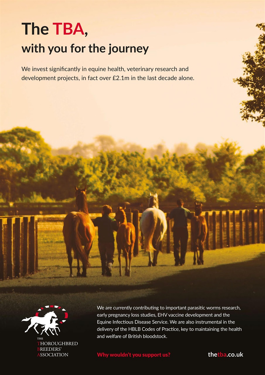 The Owner Breeder Preview Pages