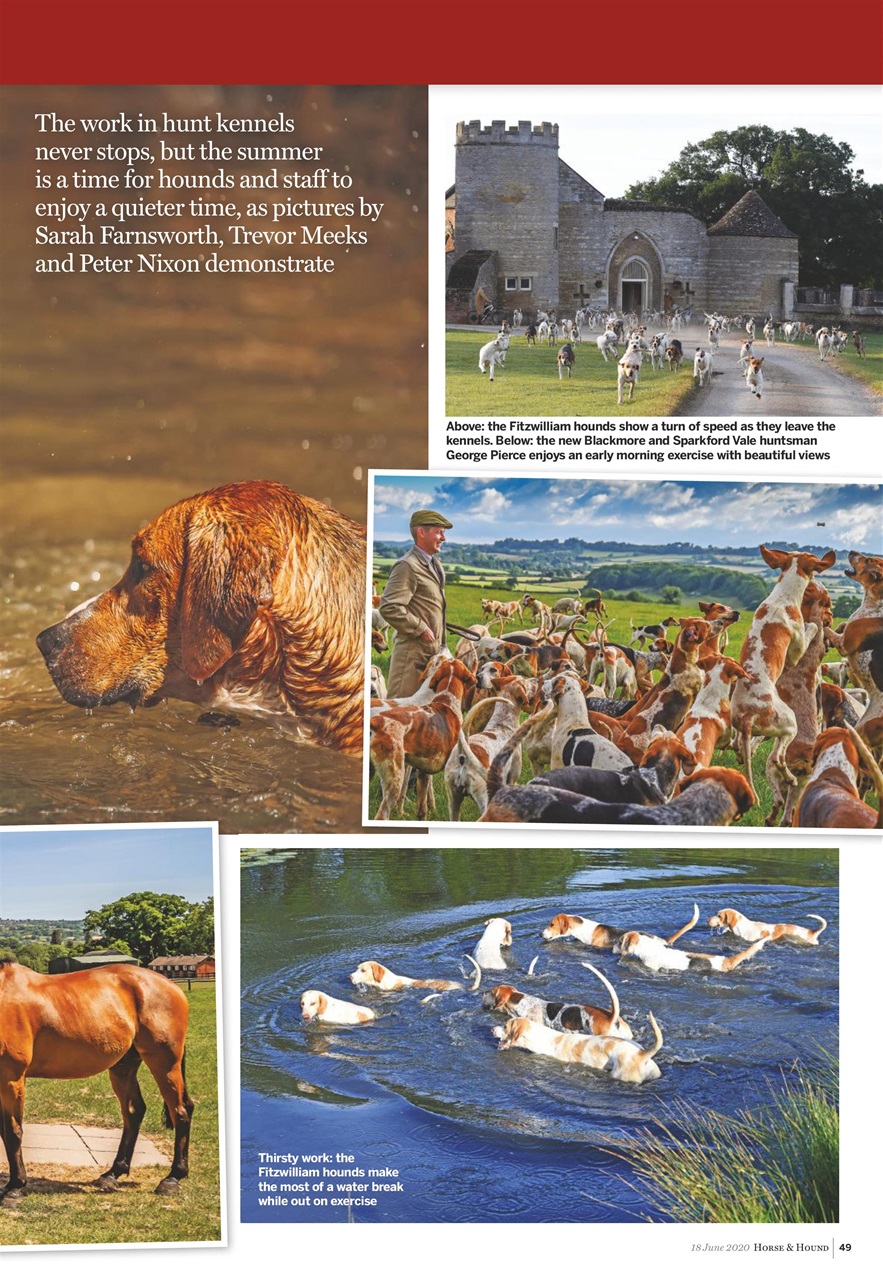 Horse & Hound Preview Pages