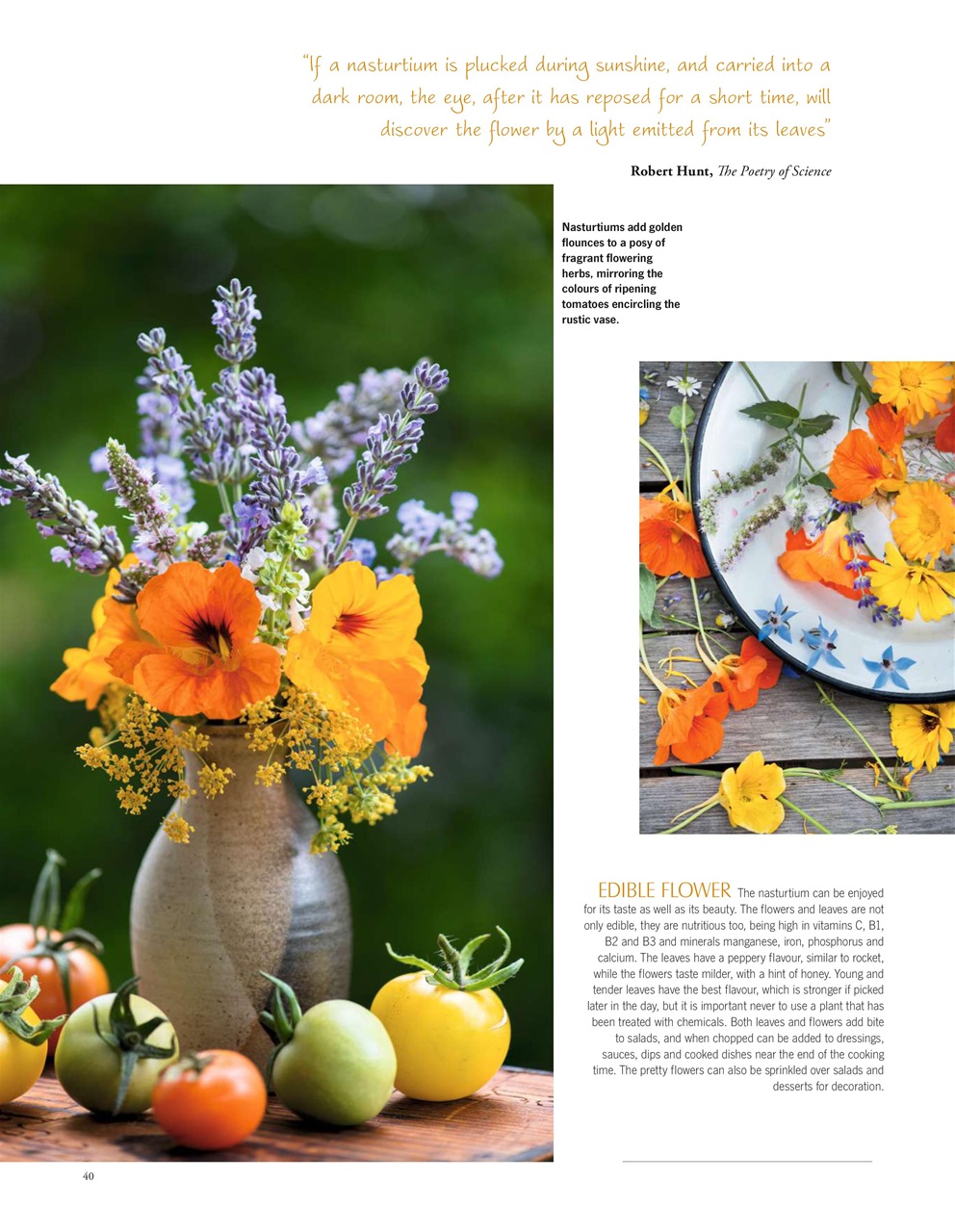 LandScape Preview Pages