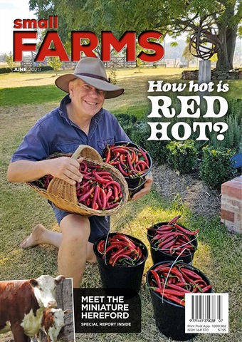 Small Farms issue June 2020