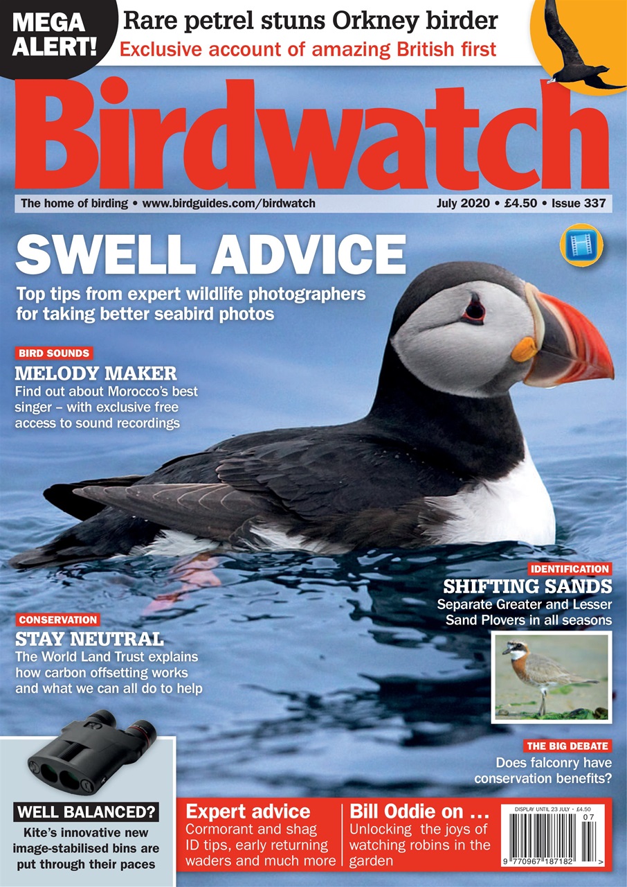 Birdwatch Magazine Preview Pages