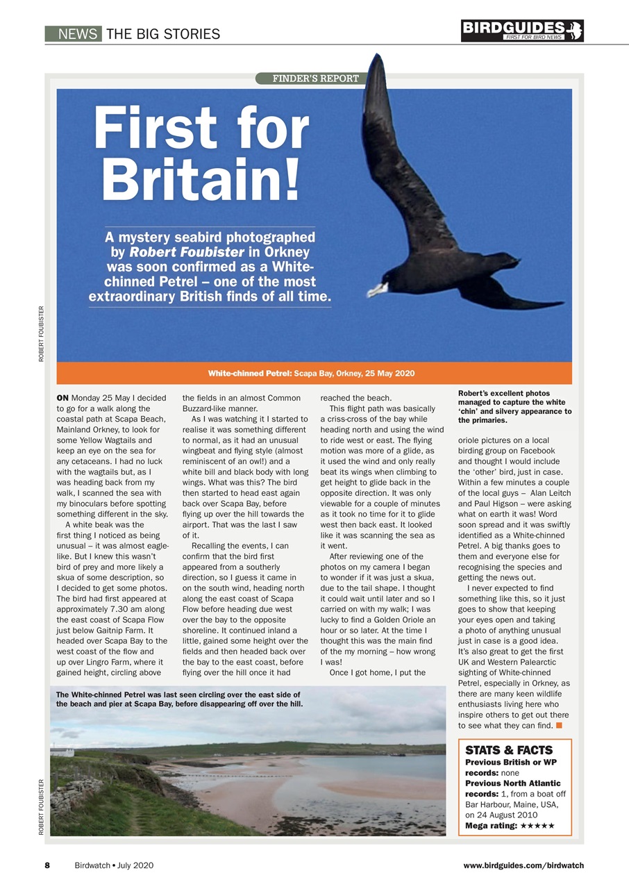 Birdwatch Magazine Preview Pages