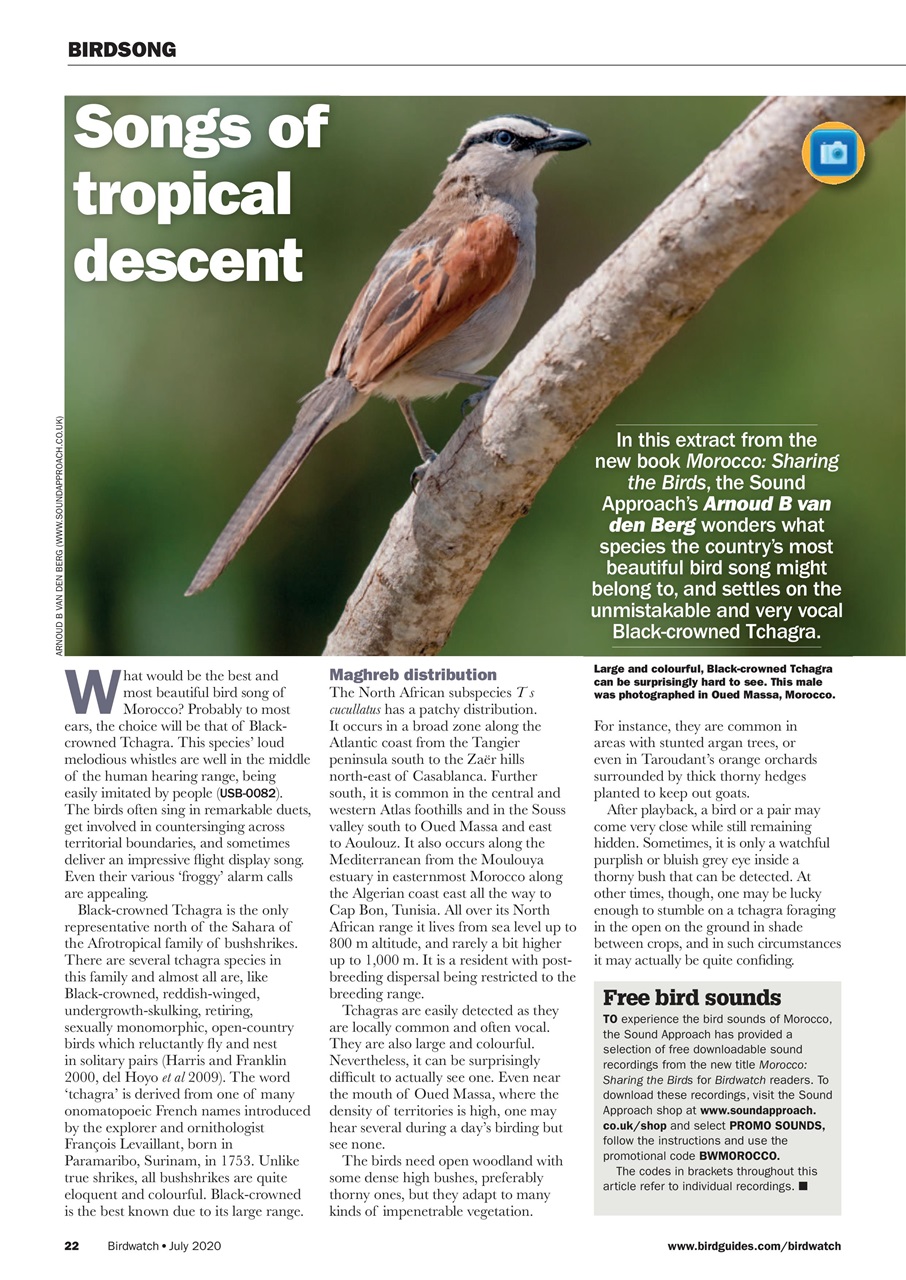 Birdwatch Magazine Preview Pages