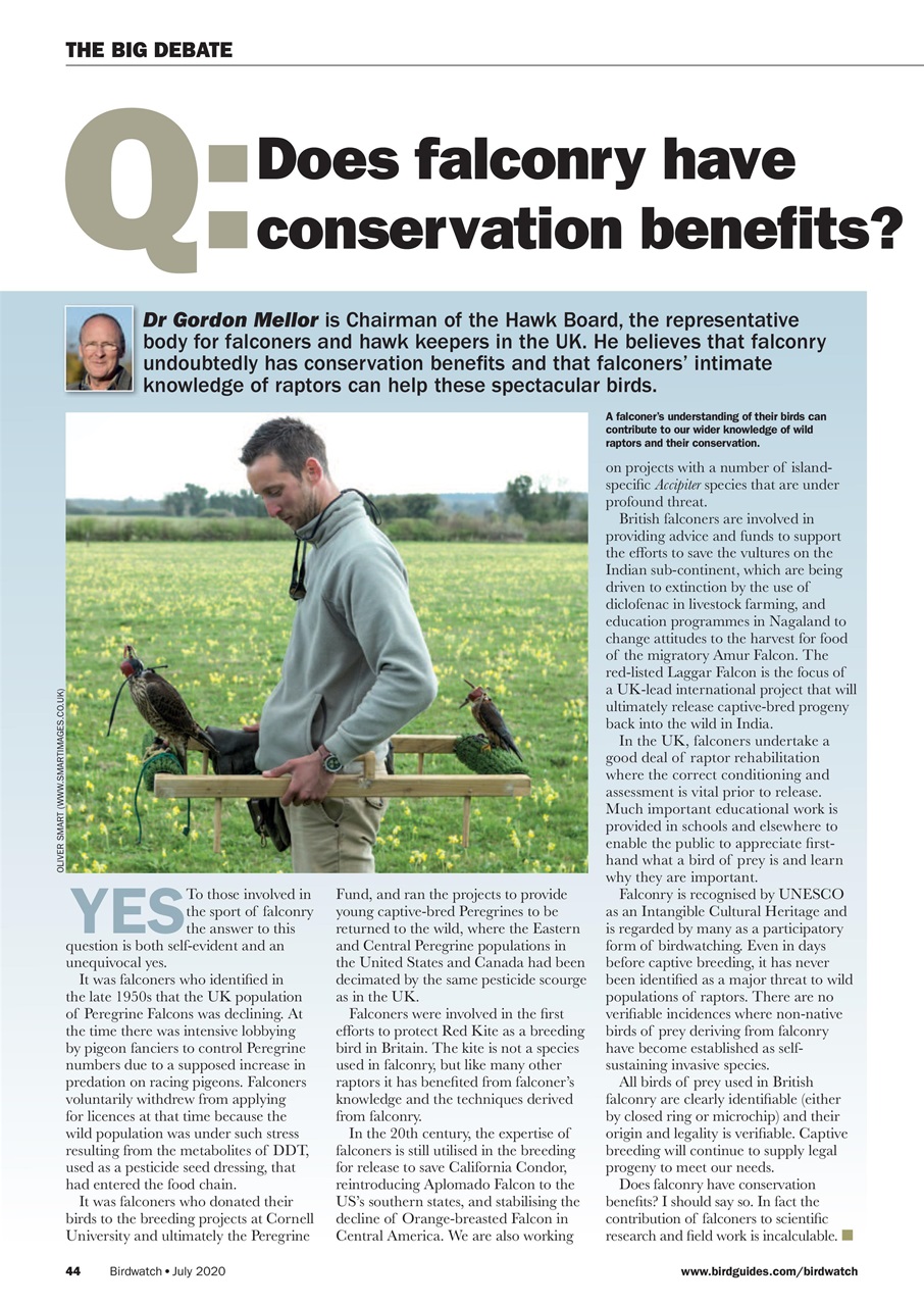 Birdwatch Magazine Preview Pages