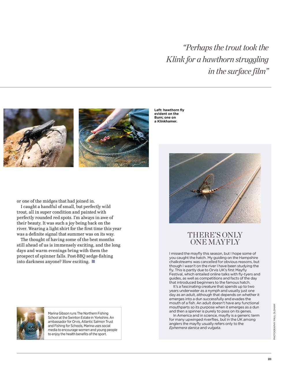 Trout & Salmon Preview Pages