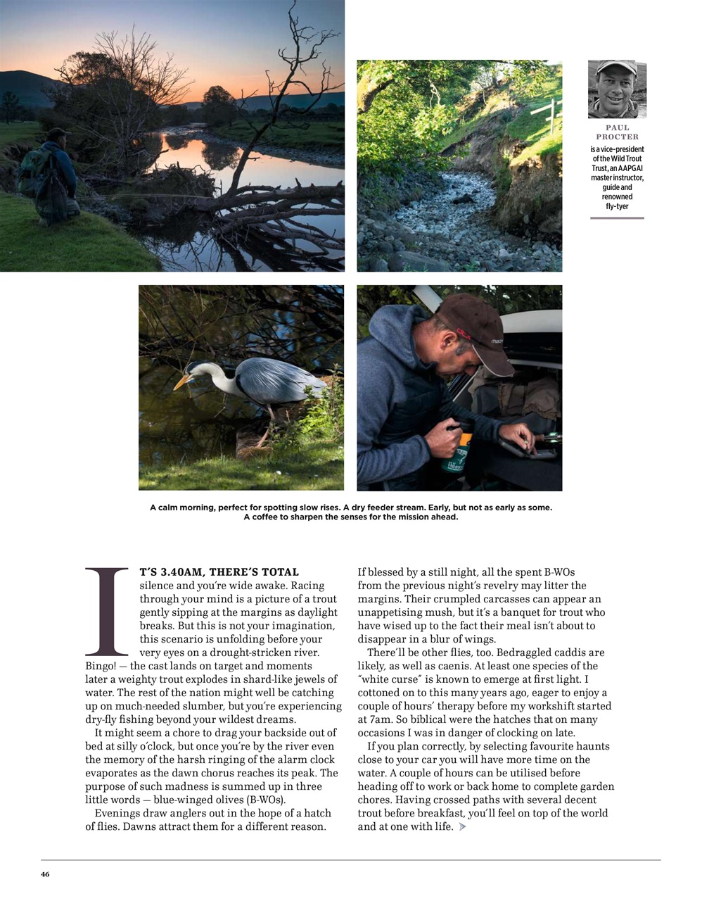 Trout & Salmon Preview Pages