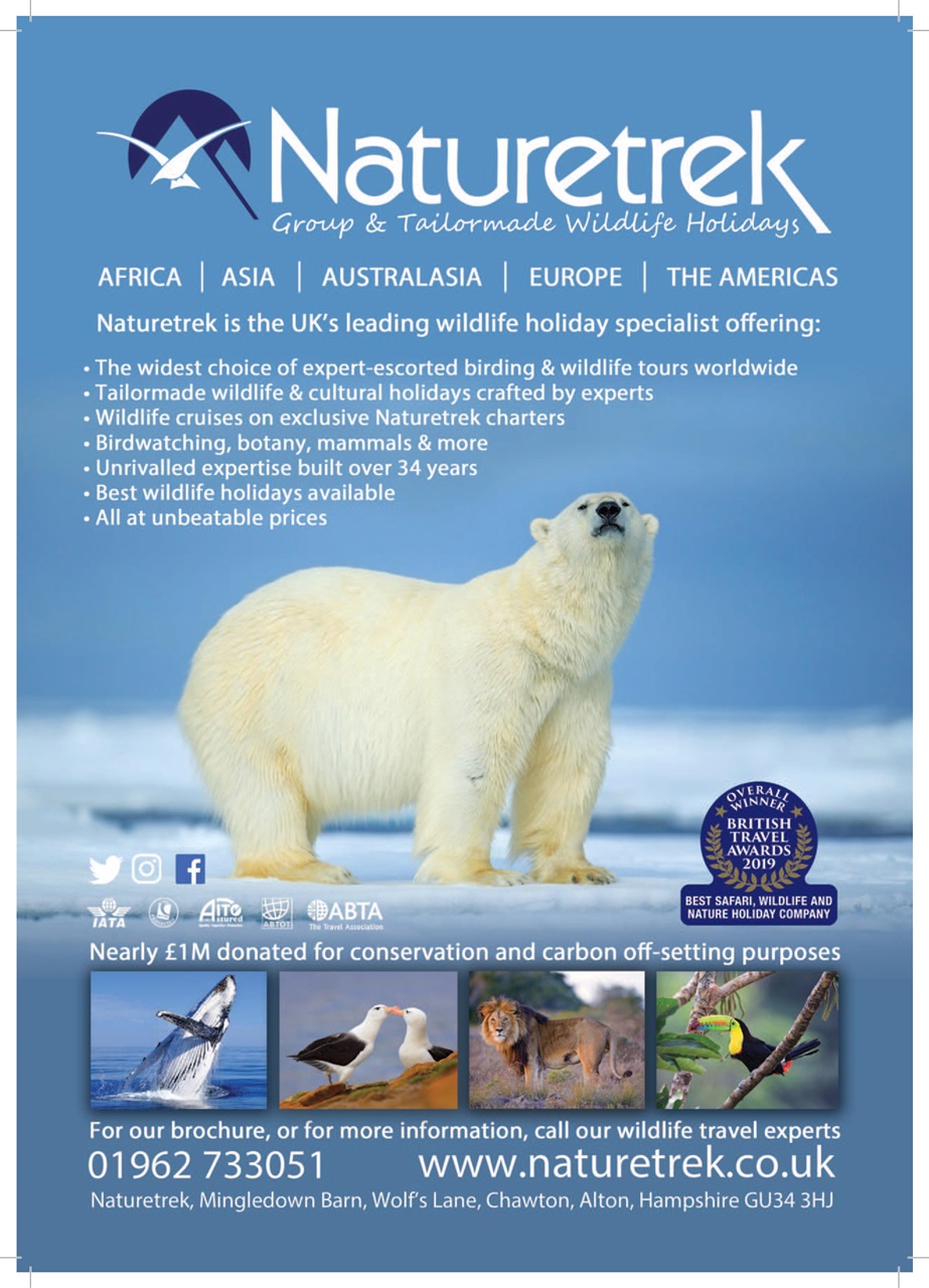 Geographical Preview Pages