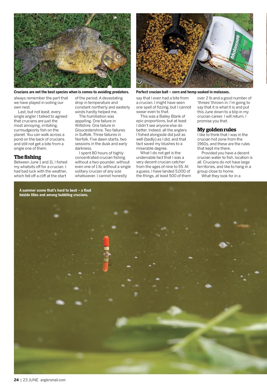 Anglers Mail Preview Pages