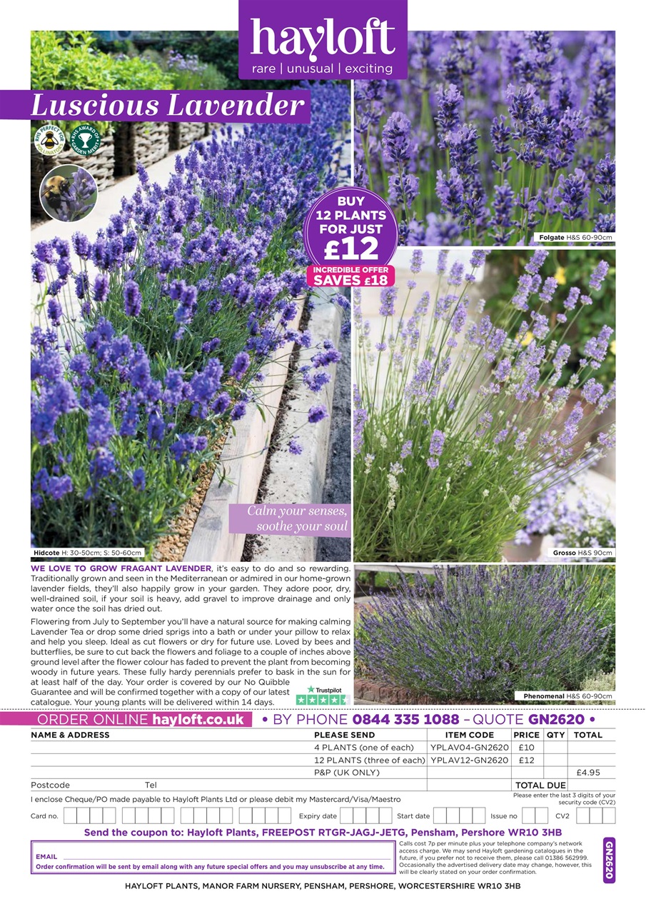Garden News Preview Pages
