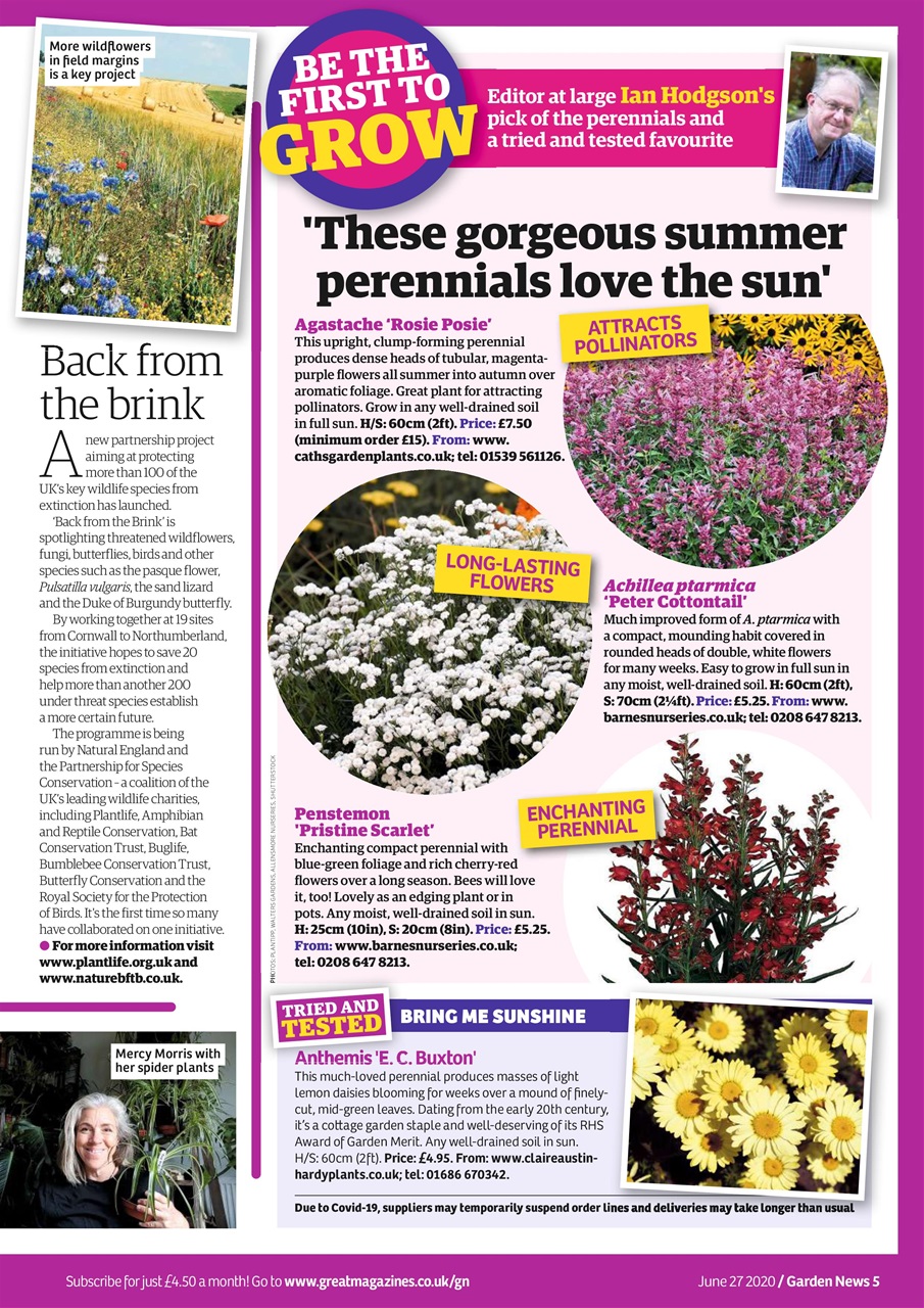 Garden News Preview Pages