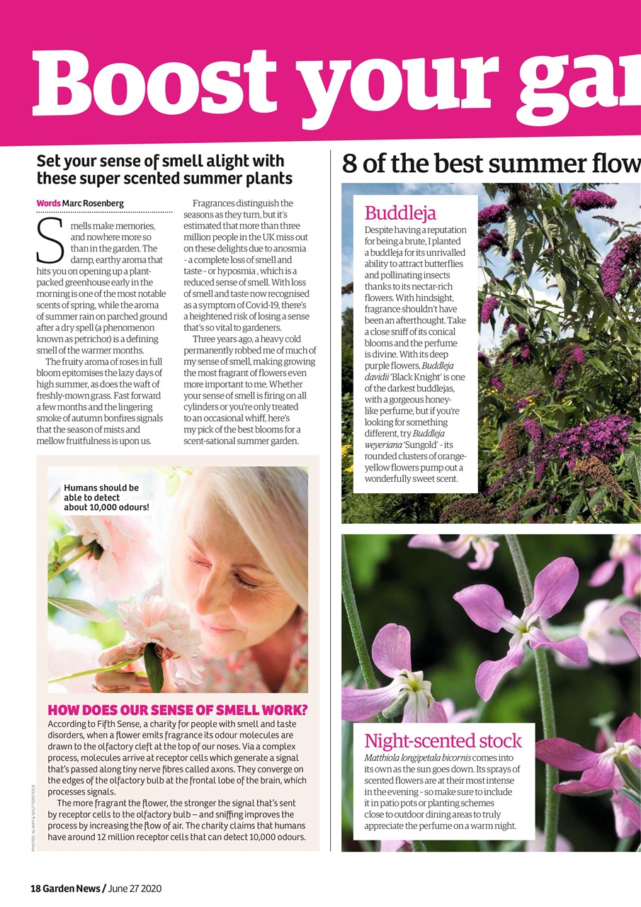 Garden News Preview Pages